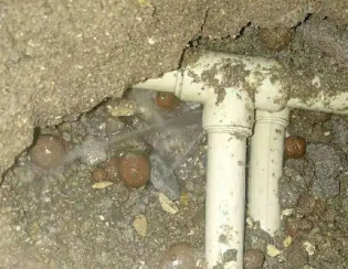 新华卫生间测漏
