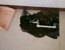 新华卫生间测漏水多少钱